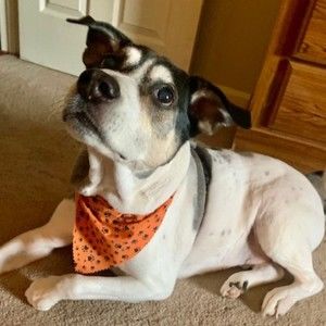 Meet your Posher, Elizabeth